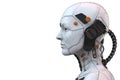 Android robot cyborg woman humanoid side view - 3d rendering