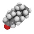 Androstadienone pheromone molecule, chemical structure