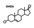 Dehydroepiandrosterone chemical formula