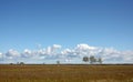 Andscape with clouds and field up to the horizon Royalty Free Stock Photo