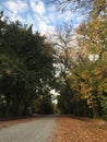 Andscape of a country road in autumn