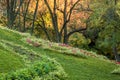 Andscape design on a green lawn with flowers.