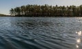 Andscape with small bog lake, early spring Royalty Free Stock Photo