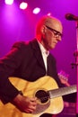 Andy Fairweather Low in Concert Royalty Free Stock Photo