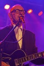 Andy Fairweather Low in Concert Royalty Free Stock Photo