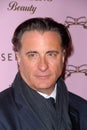 Andy Garcia Royalty Free Stock Photo