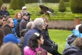 Andy Hughes, a professional resident Falconer demonstrates and explains the different hunting methods used by owls, hawks and