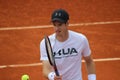 Andy Murray. Royalty Free Stock Photo