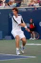 Andy Murray Rogers Cup 2008 (29) Royalty Free Stock Photo