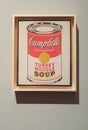 Andy Warhol Campbell`s Soup Cans