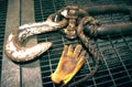 Detail of a crane hook and a riggers glove on the deck of an offshore drilling rig Royalty Free Stock Photo