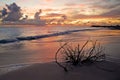 Anegada Sunset Royalty Free Stock Photo