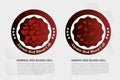 Anemia Iron red blood cell medical vector illustration medical.