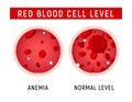 Anemia problem circulatory iron body diagram background. Anaemia biology blood isolated medical normal icon.