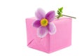 Anemone flower on a present