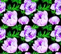 Anemone flower seamless pattern