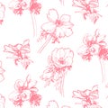 Anemone pattern. Hand-drawing Royalty Free Stock Photo