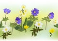 Anemone, Primula, KingÃ¢â¬â¢s Cup flowering plants with multicolor mech background