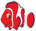 Anemonefish Royalty Free Stock Photo