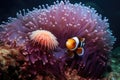 anemonefish and sea anemone symbiotic relationship in ocean