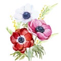 Anemones