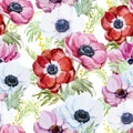 Anemones