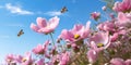 Anemones pink flowers field in the fresh spring against blue sky, Royalty Free Stock Photo