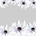 Anemones white watercolor frame template. Royalty Free Stock Photo