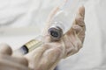 Anesthesiologist Doctors hand inject syringe into normal saline solution NSS bottle.