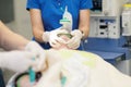 An anesthesiologists team enters the patient in general anesthesia Royalty Free Stock Photo