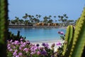 Anfi fel Mst beach, Island of Gran Canaria, Spain Royalty Free Stock Photo