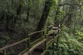 Ang Ka Luang Nature Trail at Doi Inthanon National Park, Chiang Royalty Free Stock Photo