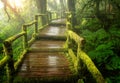 Ang ka nature trail in doi inthanon national park