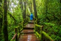 Ang ka nature trail , Doi Inthanon national park Royalty Free Stock Photo