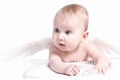 Angel baby Royalty Free Stock Photo