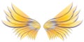 Angel Bird or Fairy Wings 3 Royalty Free Stock Photo