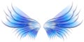 Angel Bird or Fairy Wings Blue