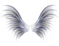 Angel Bird or Fairy Wings Grey Royalty Free Stock Photo