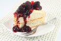 Angel Cake with berry sauce Royalty Free Stock Photo