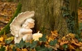 Angel with candle, nature cemetery