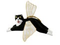 Angel Cat Ornament Royalty Free Stock Photo