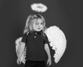 Angel child. Adorable little angel boy with white feather wings and halo. Little cupid on valentines day holiday. Royalty Free Stock Photo