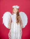 Angel child girl with white wings and angels halo, valentines day. Little princess greeting card. Royalty Free Stock Photo