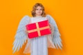 Angel child hold gift present. Christmas kids. Little cupid angel child with wings. Studio portrait of angelic kid. Royalty Free Stock Photo