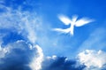 Angel in the clouds with Blue Cloudy Sky. White Angel of light Flying. Spirit, religion, and spiritual freedom Concept