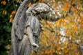 Angel crying stone granite grave headstone in cemetery graveyard sculpture statue autumn orange leaves beautiful scenery