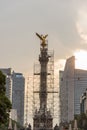 Angel de la independencia mantenience