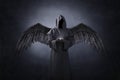 Angel of death with soul in hands Royalty Free Stock Photo