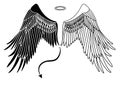 Angel and devil wings Royalty Free Stock Photo