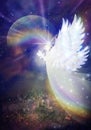 Angel touch, divine intervention, synchronicity, giving blessings, spiritual healing, white dove, freedom, peace, protection